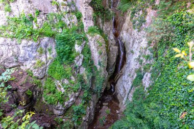 Sorrento, İtalya - 26 Mayıs 2024: Sorrento yakınlarında yemyeşil ve kayalık arazilerle çevrili küçük bir dağ şelalesi, aşağıdaki kayaların üzerinden yavaşça akan sularla birlikte sakin bir havuza dönüşüyor..