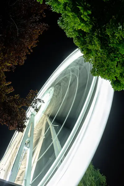 Budapeşte, Macaristan - 30 Ağustos 2024: Gece Gökyüzünün Altında Dönme Dolap