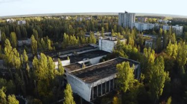 İHA, terk edilmiş Pripyat şehrinden geçiyor. Yıkılmış binalar. Şehrin aşırı gelişmiş caddeleri. Sonbahar renkleriyle Çernobil Hava Aracı Videosu - Günbatımı
