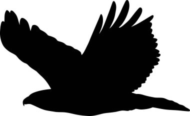 Uçan bir kuşun silueti, kanatlarını beyaz arka plana doğru açmış. Özgürlüğü ve doğayı temsil eden güçlü ve dinamik bir görüntü..