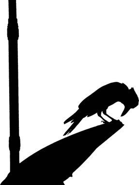 Bir direğin yakınındaki bir yüzeye tünemiş bir kuşun silueti. Grafik tasarımı veya resimsel kullanım için mükemmel, katıksız siyah beyaz bir resim.