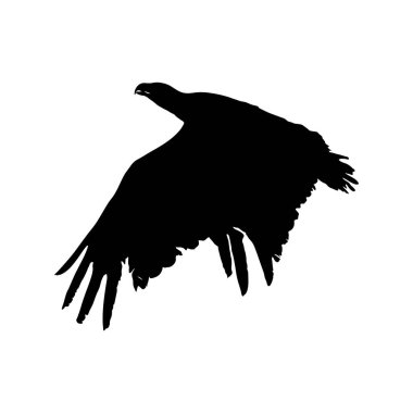 Uçuş vektörü illüstrasyonunda Kartal Silueti