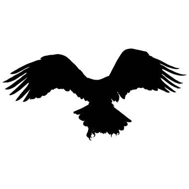 Beyaz Arkaplanda Açılmış Kanatları Olan Kartal Silueti