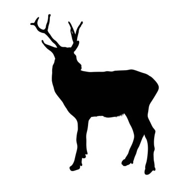 Boynuzlu Ren Geyiği Silueti