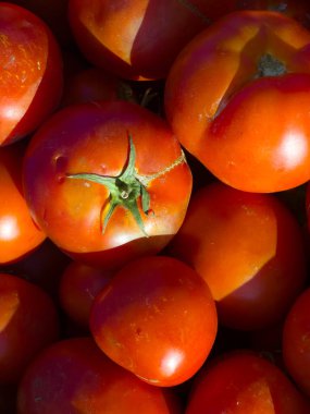 Çok sayıda olgun kırmızı domatesin parlak derileri ve yeşil gövdeleri, güneş ışığında bir araya getirilmiş yakın plan görüntüsü. Canlı rengi ve sağlıklı görünümü ürünlerin tazeliğini vurguluyor, bu da sağlıkla ilgili kavramlar için ideal hale getiriyor.