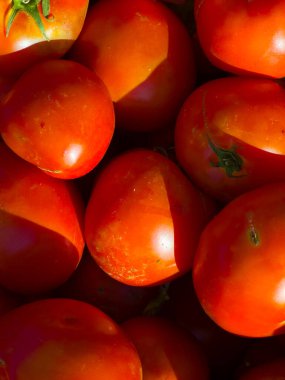 Taze olgun domateslerin yakın plan fotoğrafı pürüzsüz parlak cilt ve canlı rengi gösteriyor. Doğal güneş ışığı dinamik gölgeler oluşturur ve tazeliklerini ön plana çıkarır. Domatesler sıkıca gruplanmış, şişkinliklerini ve sağlıklarını vurguluyorlar.