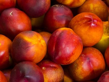 Kırmızı, turuncu ve sarı derili bir kaç olgun nektarin yakın plan fotoğrafı. Görüntü, meyvenin pürüzsüz ve parlak dokusunu ön plana çıkararak, sağlıklı beslenme, organik üretim ve taze ürün kavramları için ideal hale getiriyor.