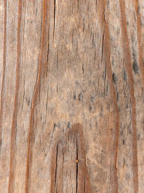 Detailed macro photograph of a weathered wooden surface showcasing natural brown color, grain pattern, and cracks. The texture is rough with noticeable lines and organic details, ideal for backgrounds, design, and rustic wood texture references.