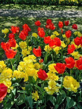 Lise, Hollanda - 29 Nisan 2024: 