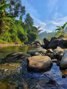 Sentul, Bogor - Endonezya, Ağustos 03, 2020: Su sakin tropikal doğa, yeşil ağaç, mavi gökyüzü ve güneş ışığıyla temiz nehirde akar