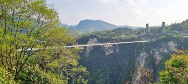 Zhangjiajie, Çin - 10 Nisan 2025: Şeffaf cam yüzeyi ile asma köprü doğrudan aşağıdaki kanyonun dağlık arazisini görmek için