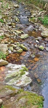 Zhangjiajie, Çin - 11 Nisan 2025: Çimenli kıyılarda dere yatağında kayaların ve çakıl taşlarının üzerinden akan temiz ve sığ su deresi