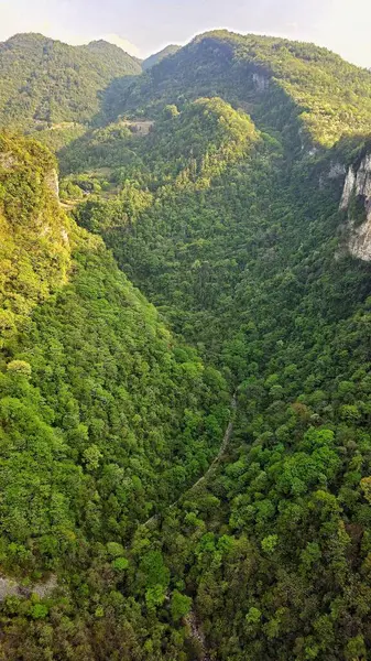Zhangjiajie, Çin - 13 Nisan 2025: Yamacın üst kısımlarında yamacın alt kısmında yoğun yeşil ağaçlar ve diğer yapraklardan oluşan yoğun ormanlık bir kaya tabakaları bulunur.