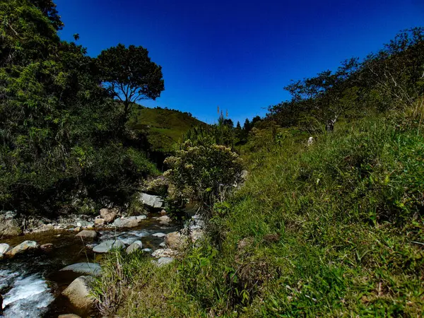 Kayaların arasından akan dere