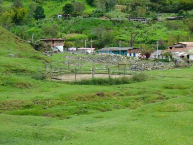 Binicilik arenası. Orta büyüklükteki atların, otlakların ve evlerin eğitildiği bir yer.