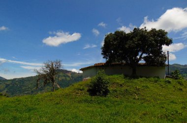 Aylakları gören beyaz ve kahverengi kulübe