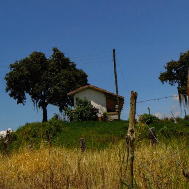 Aylakları gören beyaz ve kahverengi kulübe