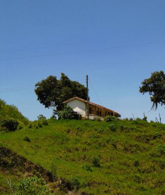 Aylakları gören beyaz ve kahverengi kulübe