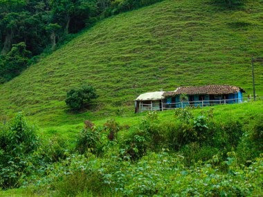 Mavi ve beyaz yazlık, yoldan geçenlerin gözü önünde.