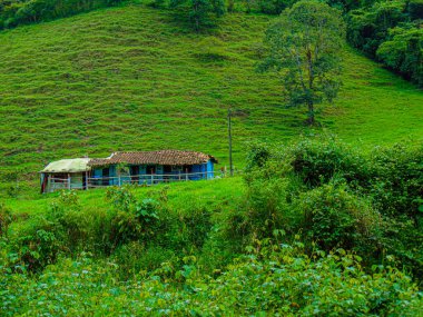 Mavi ve beyaz yazlık, yoldan geçenlerin gözü önünde.
