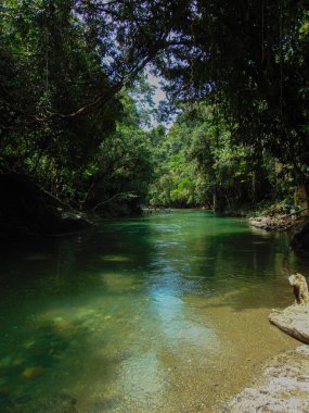 Manso de Norcasia Nehri - Caldas, ormanın ortasında yeşilimsi