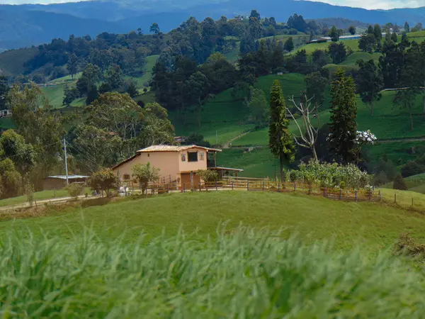 Çiftlikteki kulübede sığırlar bulutlu ve güneşli bir günde ot yiyorlar.
