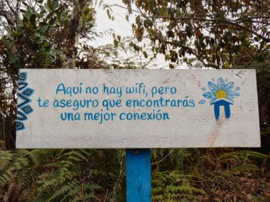 Ormanın ortasında doğayla bağlantı kurmak ve teknolojiyi bir kenara bırakmak için bir reklam.,