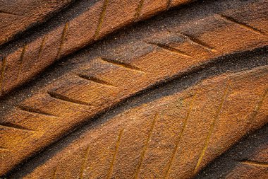 arkaplan ve desenler farklı renkler, şekiller, boyutlar ve tonlar