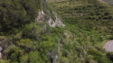 Sardunya arazisi ve yol. Yüksek kalite 4k görüntü