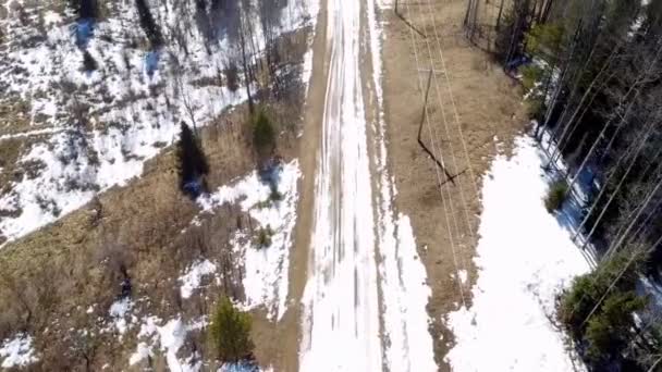Drohnenschuss Eines Feldweges Mit Bäumen — Stockvideo