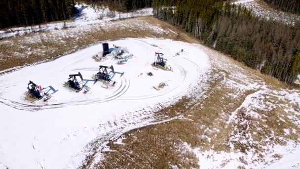 Dit Drone Schot Vangt Vier Oliepompen Werking Een Dennenbos — Stockvideo