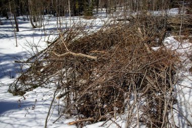 Bu resim, kar yatağında uzanan bir dal yığınının basit ama çarpıcı bir sahnesini gösteriyor. Kışın doğanın dokusunun ve desenlerinin güzelliğini vurguluyor..
