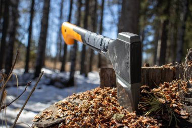 Bu resim, bir ağaç kütüğüne saplanmış sağlam sarı ve siyah bir balta gösteriyor. Bu da kırsal ve doğal bir ortamda yeni veya devam eden ahşap kesme faaliyetlerini gösteriyor..