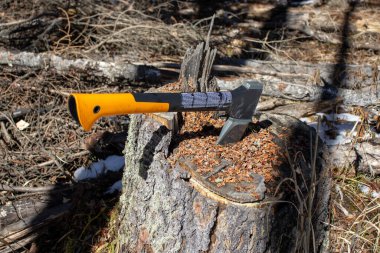Bu resim, bir ağaç kütüğüne saplanmış sağlam sarı ve siyah bir balta gösteriyor. Bu da kırsal ve doğal bir ortamda yeni veya devam eden ahşap kesme faaliyetlerini gösteriyor..