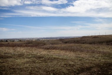 Dağınık yerleşim düzenine sahip kırsal ya da banliyö manzarasını gösteren sayısız evin olduğu bir tarlayı tasvir eden bir resim..
