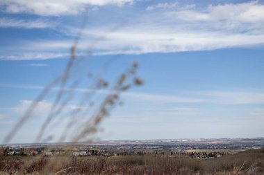 Dağınık yerleşim düzenine sahip kırsal ya da banliyö manzarasını gösteren sayısız evin olduğu bir tarlayı tasvir eden bir resim..