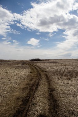 Çimenler ve çalılarla birlikte kuru bir arazide uzanan toprak bir yolu tasvir eden bir resim. Gökyüzü bazı bulutlarla görülebilir..