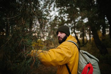 Fores 'da Yürüyen Gezgin