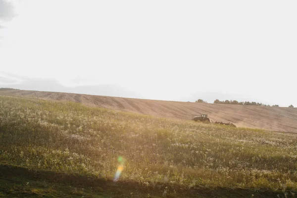 Современный Трактор Тяжелой Дисковой Бороной Вспахивает Пшеничное Поле Закате — стоковое фото