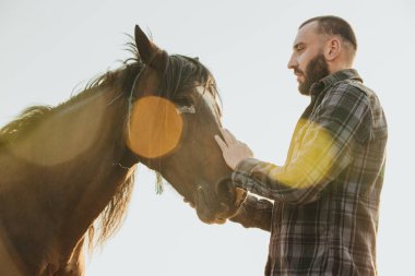 Genç bir adam gün batımında bir atı okşar. Genç sakallı çiftçi çiftlikte atlara bakıyor..
