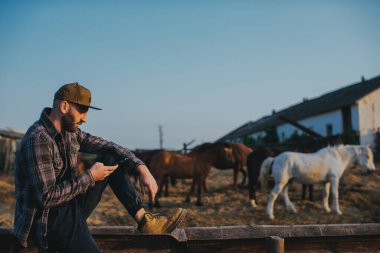 Elinde telefon olan genç bir adam atlarla bir otlağın arka planında. Bir adam çiftlikte bir günlük çalışmadan sonra dinlenir, gün batımında..
