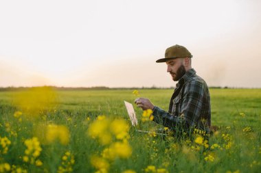 Çiftçi dizüstü bilgisayar tutuyor, kolza tarlasında tablet, döllenme günlüğü programı kullanmak için. Santral büyümesi, üretim ve çevrimiçi müşteri.
