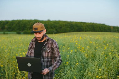 Bir tarım uzmanı çiftlikte yetişen kolza tohumlarını inceliyor. Tarım üretimi kavramı. Gün batımında kolza tarlasında dizüstü bilgisayarı olan bir çiftçi..