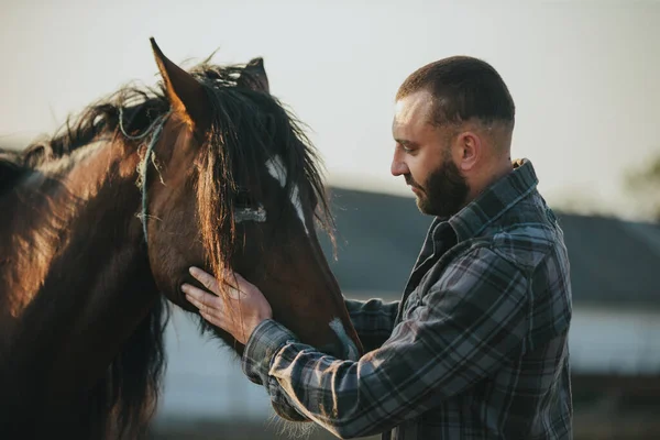 Een Man Streelt Een Paard Een Jonge Bebaarde Boer Zorgt — Stockfoto