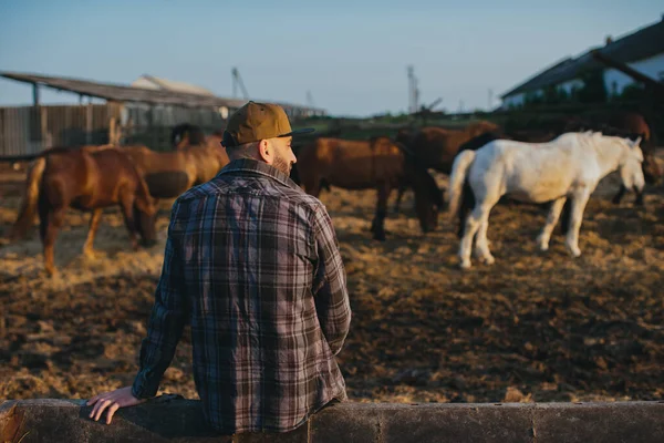 一个年轻农场工人的画像 背景是一个有马的栅栏 一个年轻的农夫在马厩里照看马 — 图库照片
