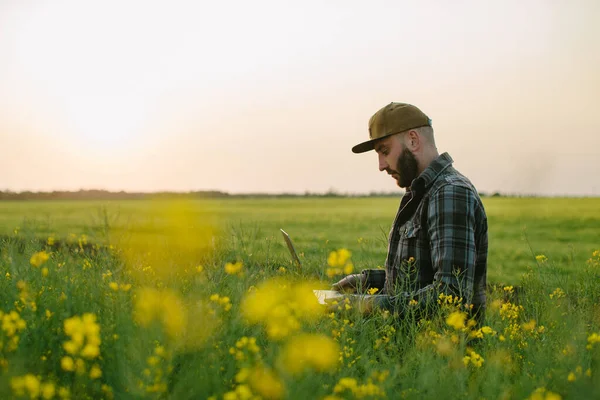 Agronom Kontroluje Řepkové Semeno Pěstované Farmě Koncept Zemědělské Produkce Farmář — Stock fotografie