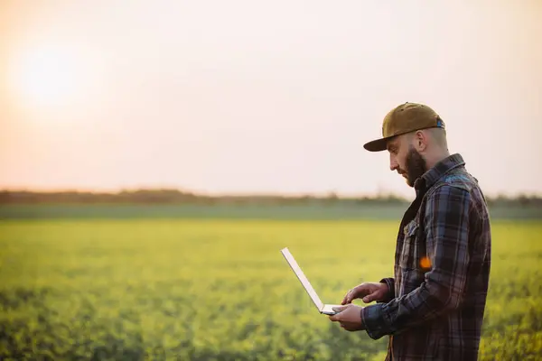 Farmář Drží Notebook Tablet Řepkovém Poli Aby Mohl Používat Program — Stock fotografie