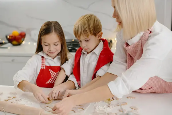 A mother teaches her daughter and little son how to make cookies. A woman and her children prepare Christmas cookies using a dough mold.