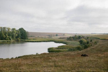 Köyün yakınında göleti olan pitoresk bir manzara..