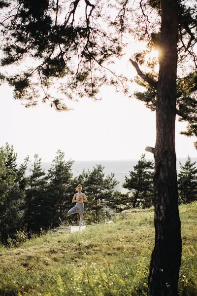 여자는 요가를 일몰에 산에서 자연과의 평화와 — 스톡 사진